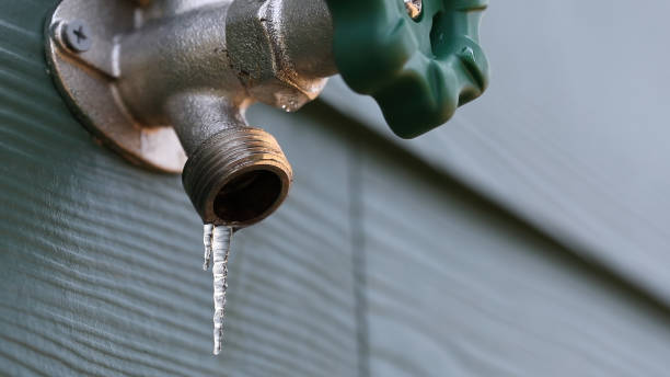 Best Sprinkler Systems  in Huachuca City, AZ