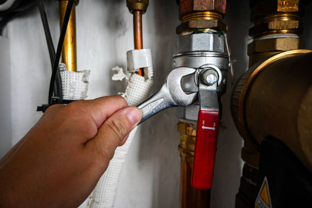 Best Same-Day Plumbing Service  in Huachuca City, AZ
